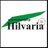 Hilvaria Nieuws
