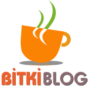 Bitki Blog Twitter Hesabı Profil Fotoğrafı Bitki Blog Twitter Hesabı Profil Fotoğrafı