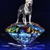 TexasTopDog - Top Dog - TexasTopDog - Top Dog -