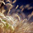 Twitter result for Crucial Memory from Health_USA_