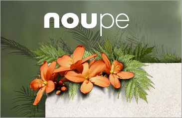 Noupe Magazine