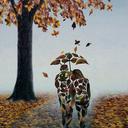 ahmed 86 (@002189392) Twitter