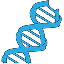 dnaverticalinc