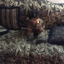 عبدالملك نجيب (@000_mlook) Twitter