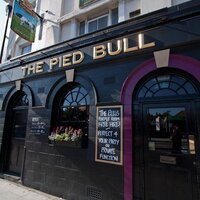 @PiedBullYoungs