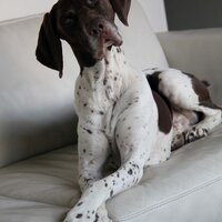 @DukeBrunoGSP