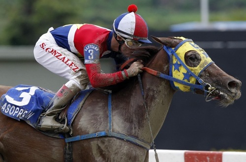 DETONADOR HIPICO