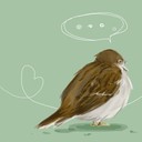 ひも (@01humi10) Twitter