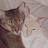 @BlueNile1957's avatar - Go to profile
