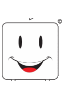 idmac