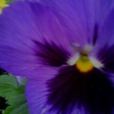 mora (@0075c2) Twitter