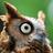 twitter-user-icon