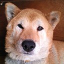 イトちゃん
