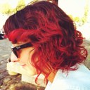 mrs_red_fox