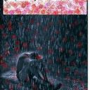 محمد كمال الصعيدى (@01021518027) Twitter