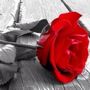 ابو تركي الغضوري (@007Radhi) Twitter