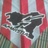 profile rt