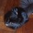 Twitter result for Next Directory from WandPand