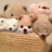 @dogpictbot