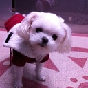 Z (@010z_z) Twitter