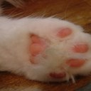 0059100 (@0059100) Twitter