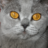 Twitter result for Studio from Floranna2