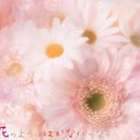 ☆あや☆ (@000_A_YA_KA_000) Twitter