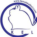 TernakKelinci