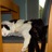 Twitter result for Buyagift from smiffy1062
