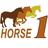 Horse1