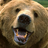 Twitter result for Ryman from ognicco