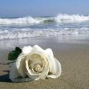 haifa h. (@01_haifa) Twitter