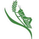 chelseagreen
