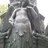serena_janes