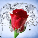 هيا (@012Star) Twitter