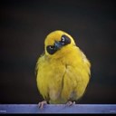 5bing (@005bing) Twitter