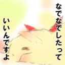 灰ちゃん:IWを見た