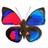 apollonfly