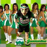@sologuerreritas