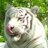 60487ff2e503e690a9f35055750de601_normal