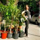 RawFoodsNewsMag