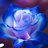 @bluerose7garden