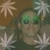 revraygreen