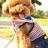 2018/05/20 01:04 jolee
