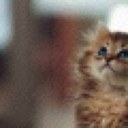 ĀŁ ŹÃÂÑ (@001Zooz) Twitter