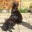 Twitter result for Goldsmiths from littleronwhitt