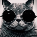 00_o_00 (@00_o_00) Twitter