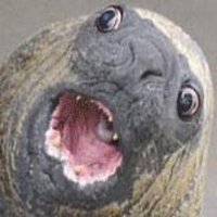 @sqwert