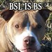 Happy_Pit - Happy Pit Keller - I was a sheltur pet and helpin animals and folks in need is at da tops ob ma list! I will always follow backs too! Bully hugs! :0) Happy_Pit - Happy Pit Keller - I was a sheltur pet and helpin animals and folks in need is at da tops ob ma list! I will always follow backs too! Bully hugs! :0)