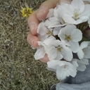 예뿌닛 (@0208_S2_) Twitter